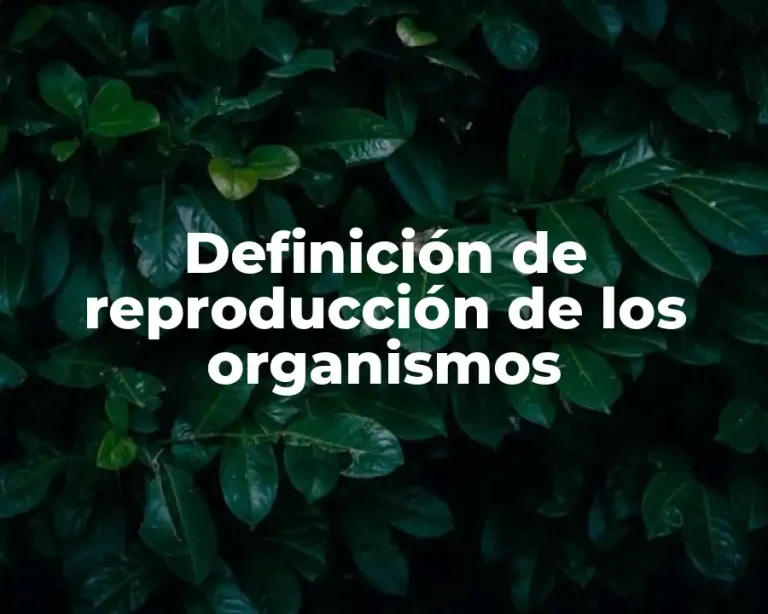 Definición de reproducción de los organismos