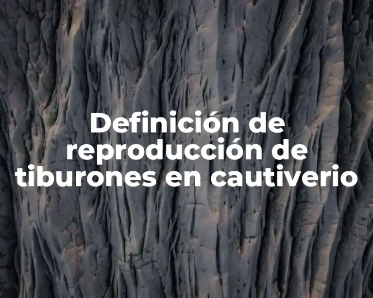 Definición de reproducción de tiburones en cautiverio