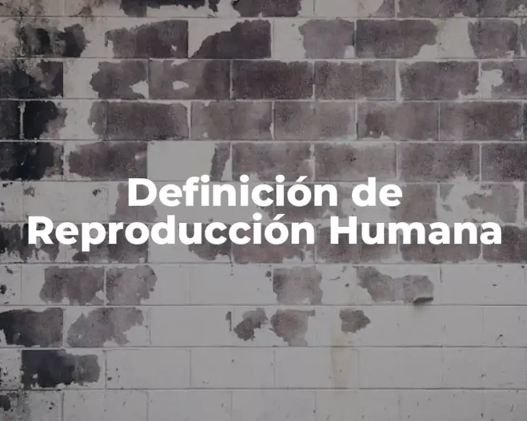 Definición de Reproducción Humana