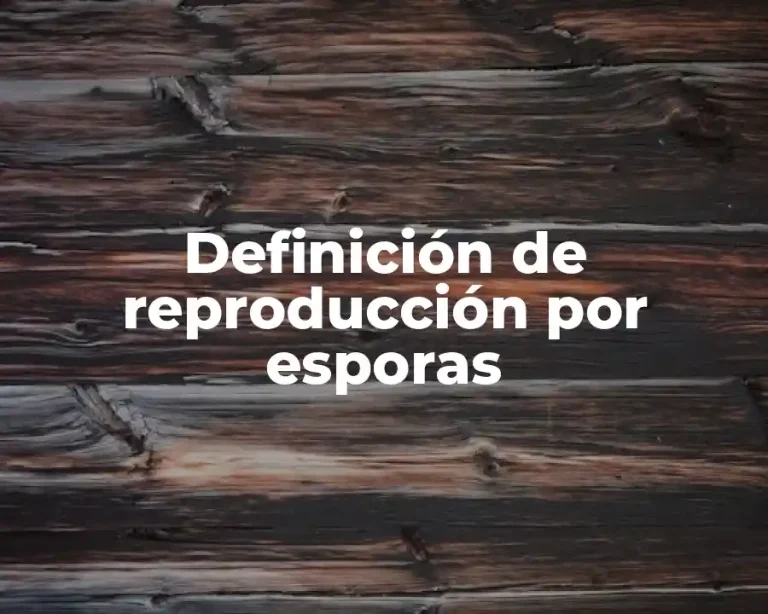 Definición de reproducción por esporas