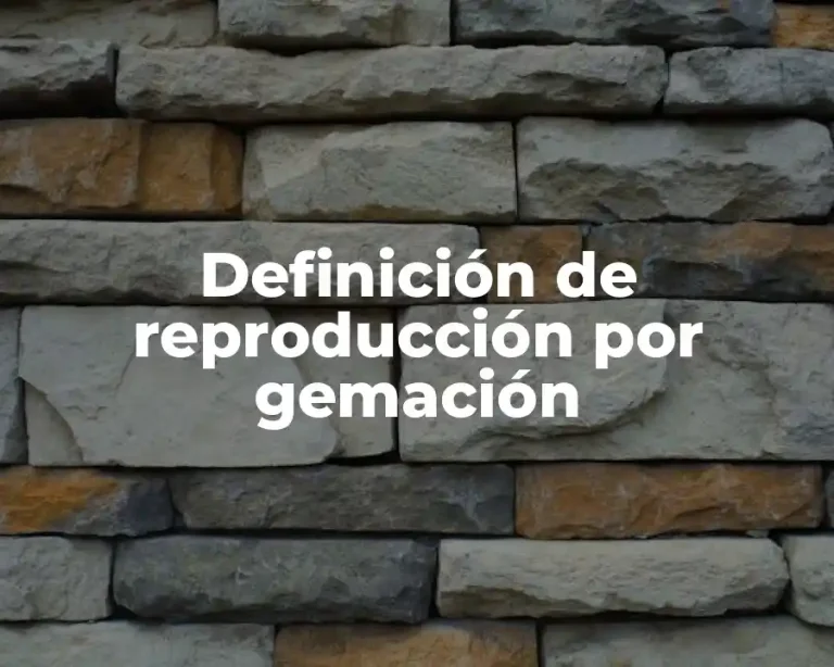 Definición de reproducción por gemación