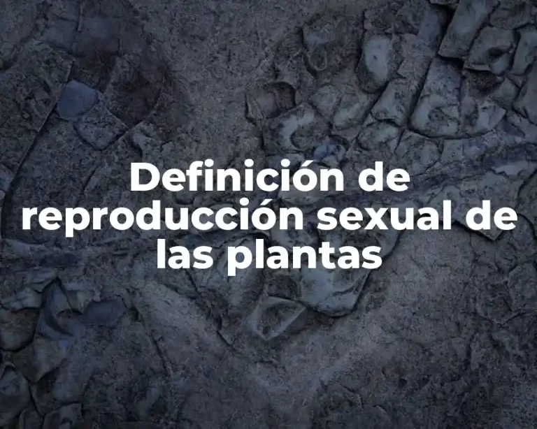 Definición de reproducción sexual de las plantas