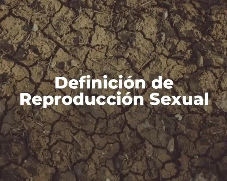 Definición de Reproducción Sexual