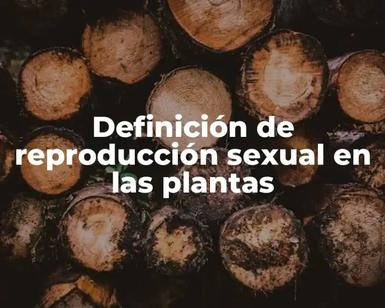 Definición de reproducción sexual en las plantas