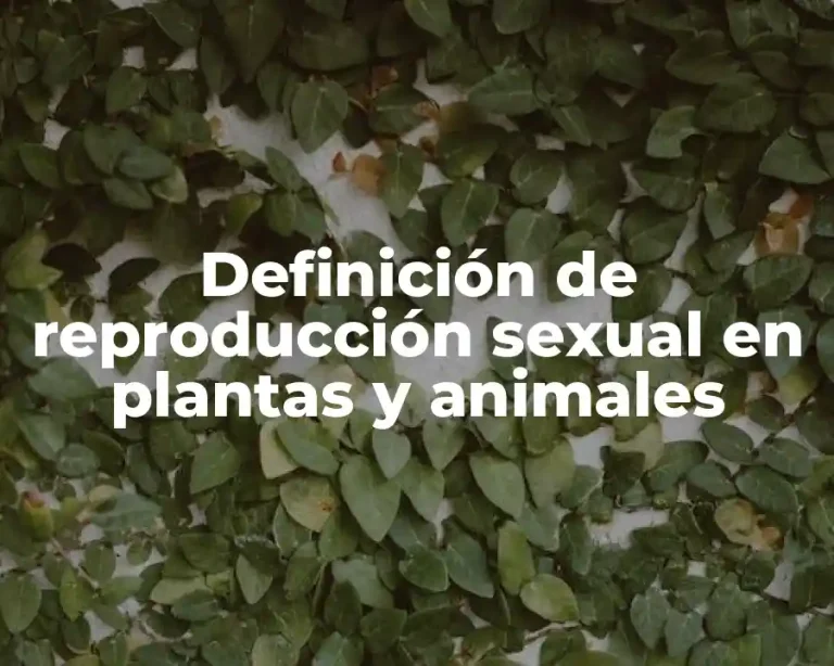 Definición de reproducción sexual en plantas y animales