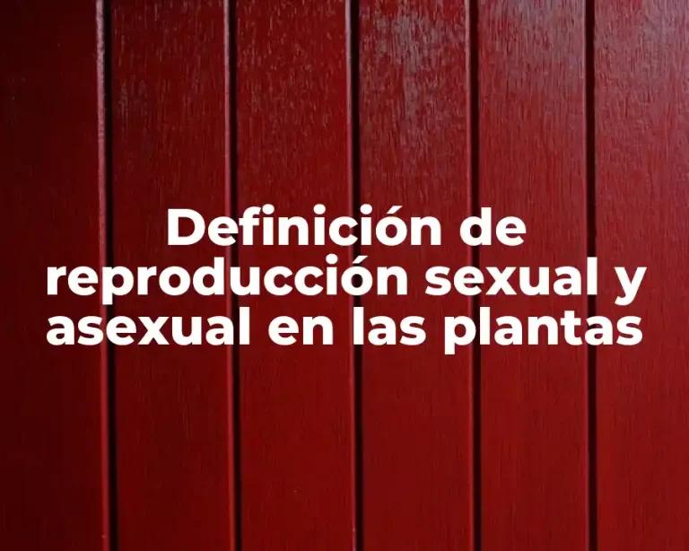 Definición de reproducción sexual y asexual en las plantas