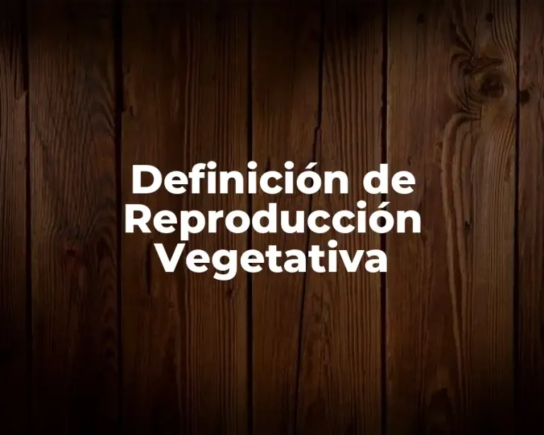 Definición de Reproducción Vegetativa