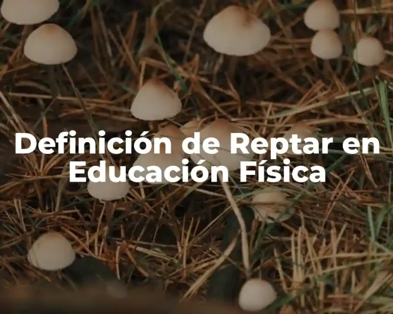 Definición de Reptar en Educación Física