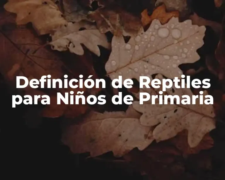 Definición de Reptiles para Niños de Primaria
