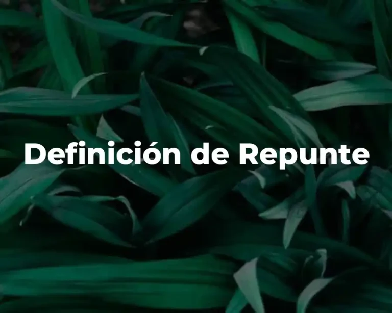 Definición de Repunte