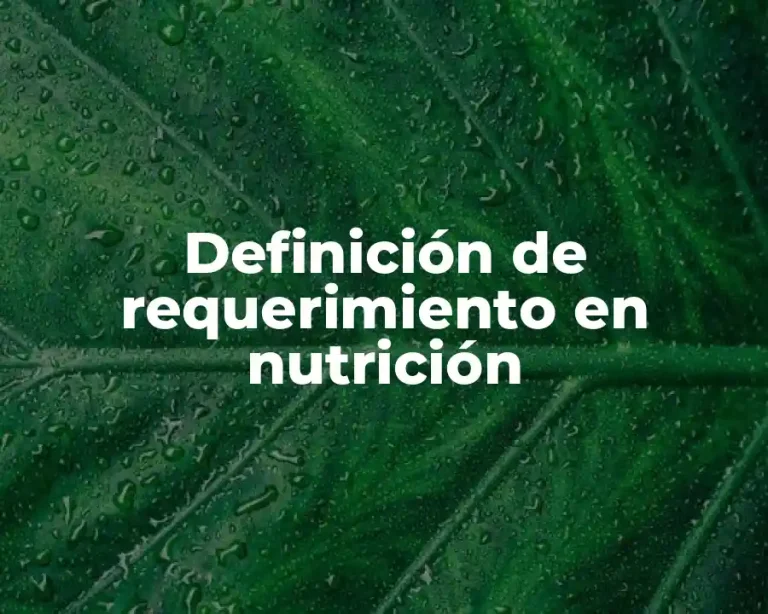 Definición de requerimiento en nutrición