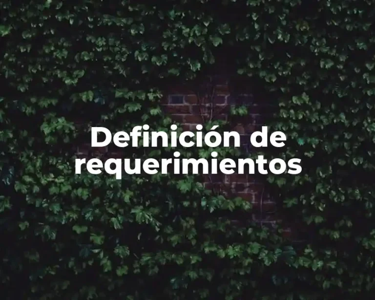 Definición de requerimientos