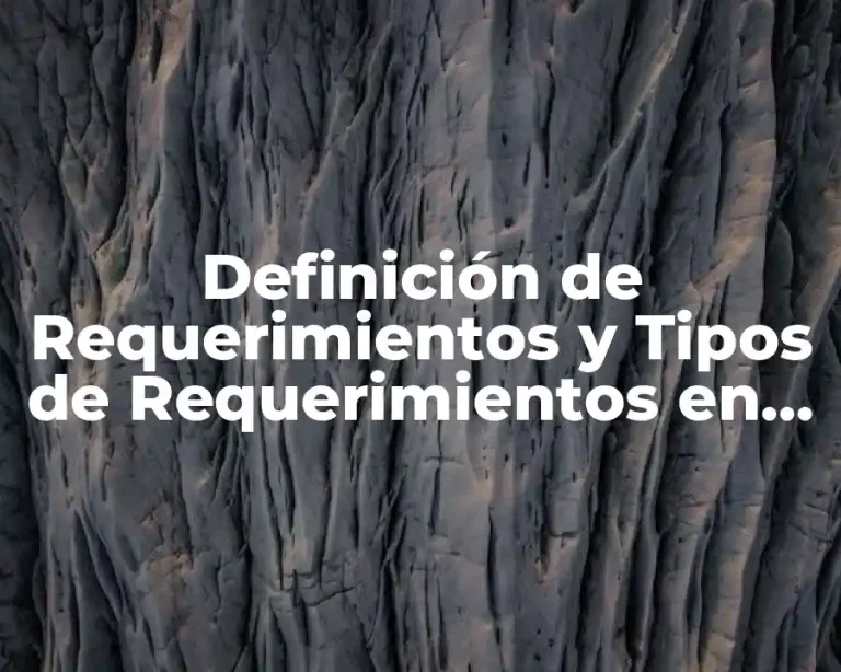 Definición de Requerimientos y Tipos de Requerimientos en Informática