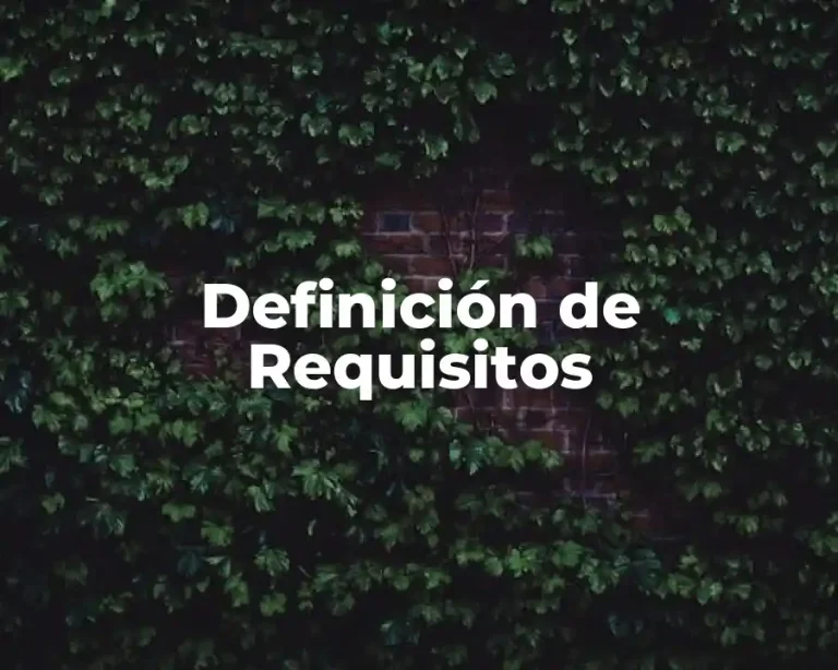 Definición de Requisitos