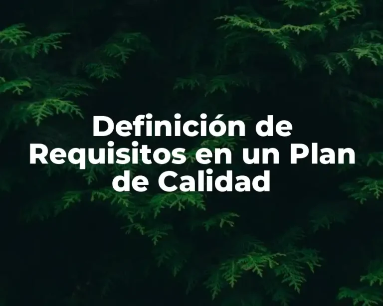 Definición de Requisitos en un Plan de Calidad