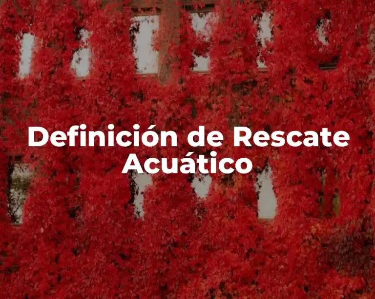 Definición de Rescate Acuático