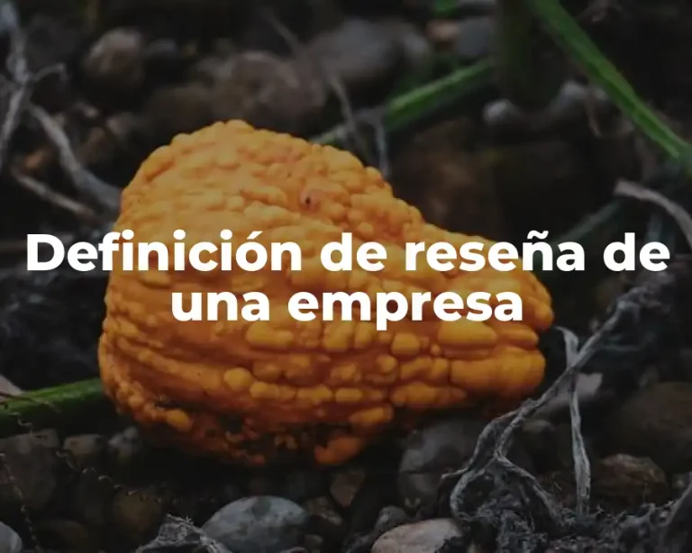 Definición de reseña de una empresa