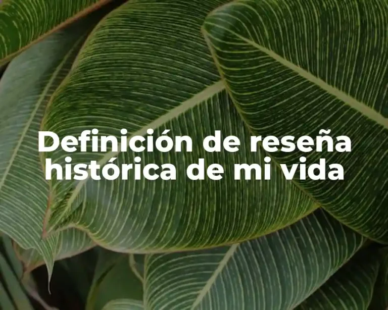 Definición de reseña histórica de mi vida