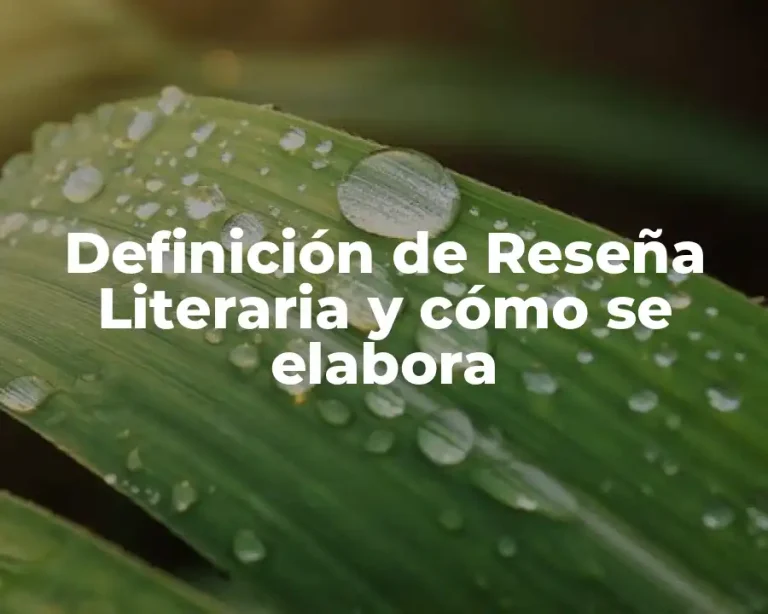 Definición de Reseña Literaria y cómo se elabora