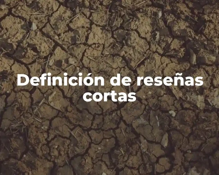 Definición de reseñas cortas