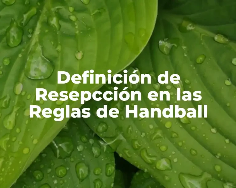 Definición de Resepcción en las Reglas de Handball