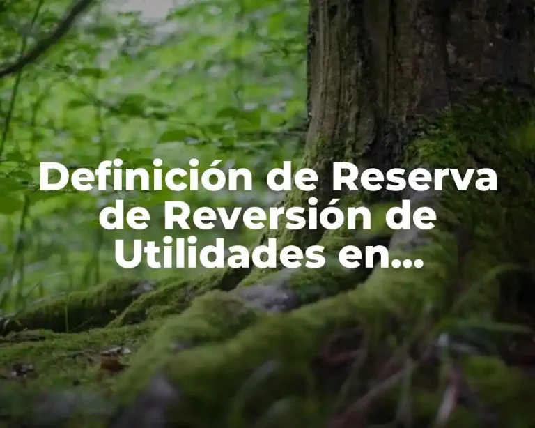 Definición de Reserva de Reversión de Utilidades en Contabilidad