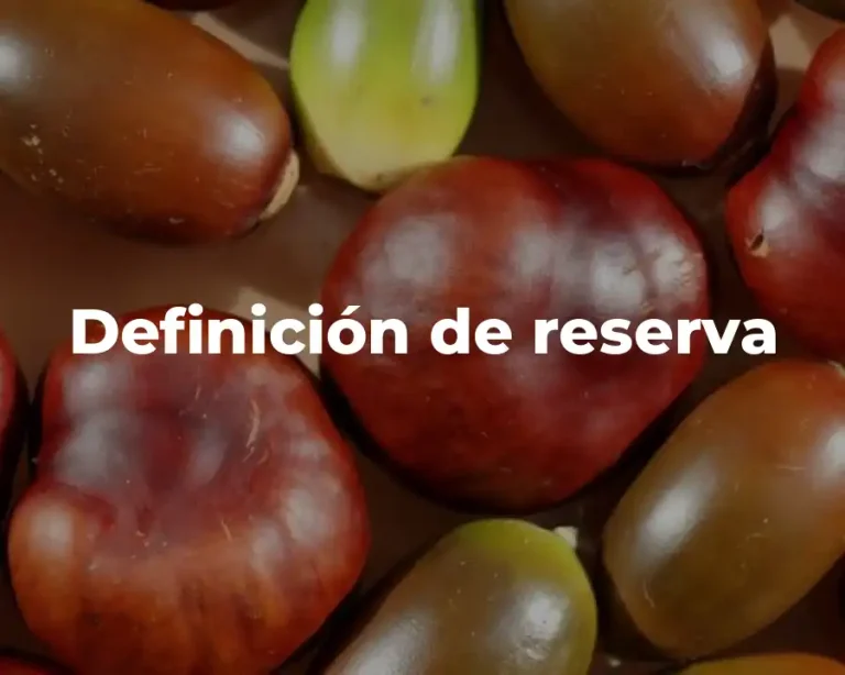 Definición de reserva