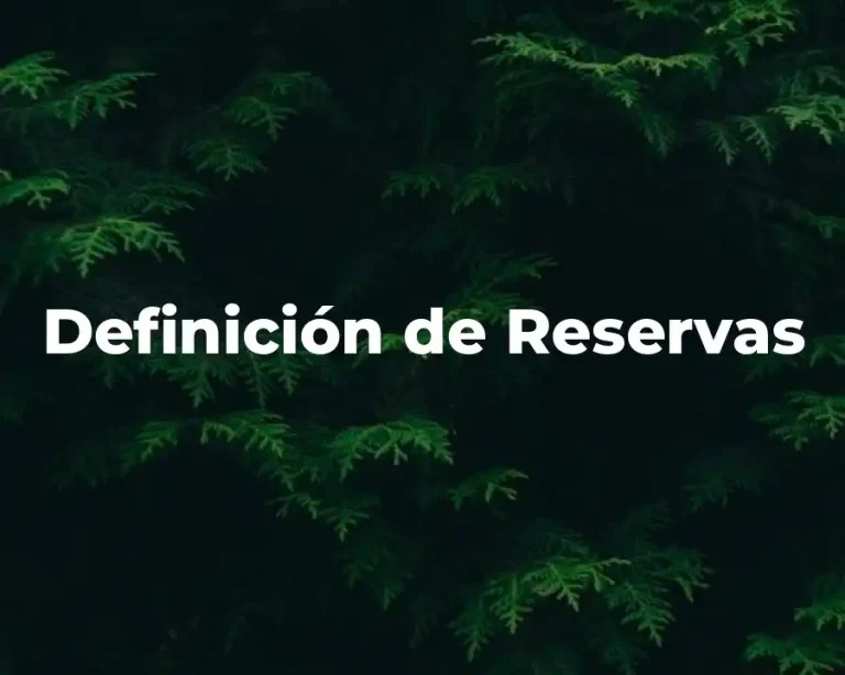 Definición de Reservas