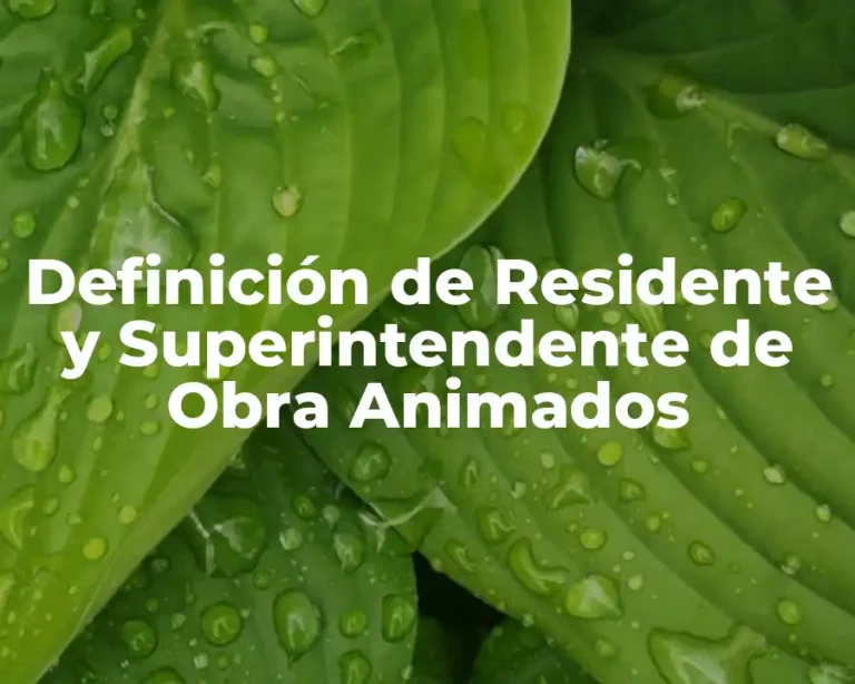 Definición de Residente y Superintendente de Obra Animados