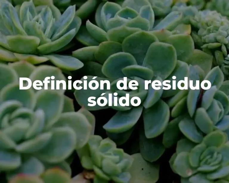 Definición de residuo sólido