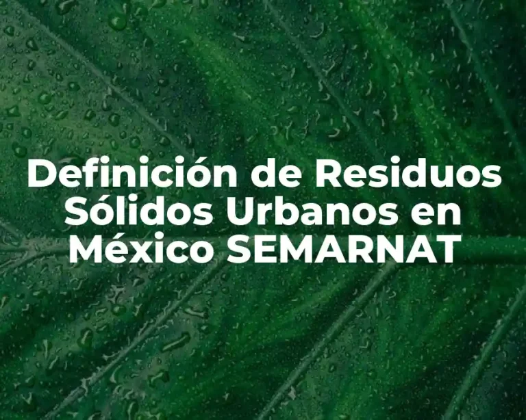 Definición de Residuos Sólidos Urbanos en México SEMARNAT