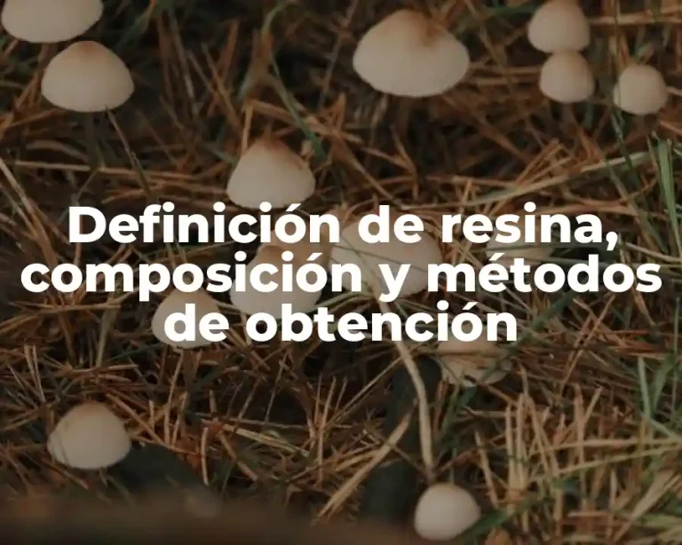Definición de resina, composición y métodos de obtención
