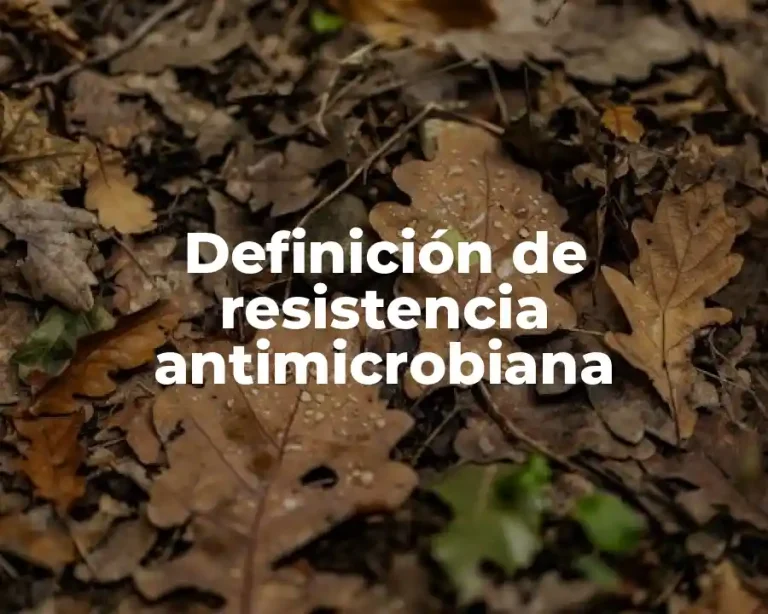 Definición de resistencia antimicrobiana