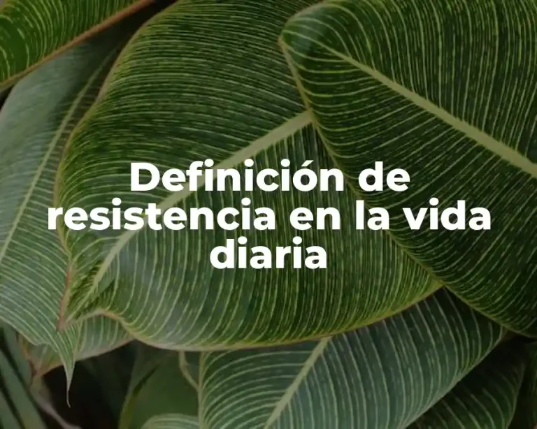 Definición de resistencia en la vida diaria