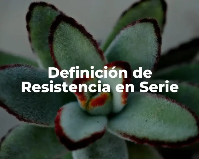 Definición de Resistencia en Serie