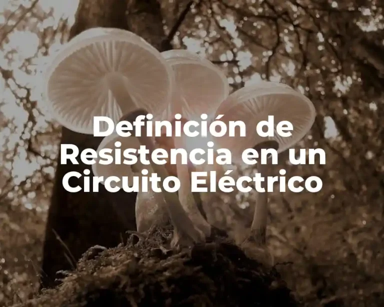 Definición de Resistencia en un Circuito Eléctrico