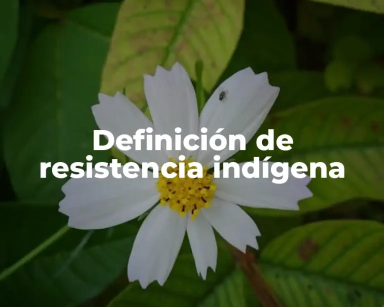 Definición de resistencia indígena