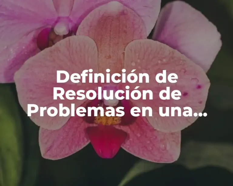 Definición de Resolución de Problemas en una Empresa