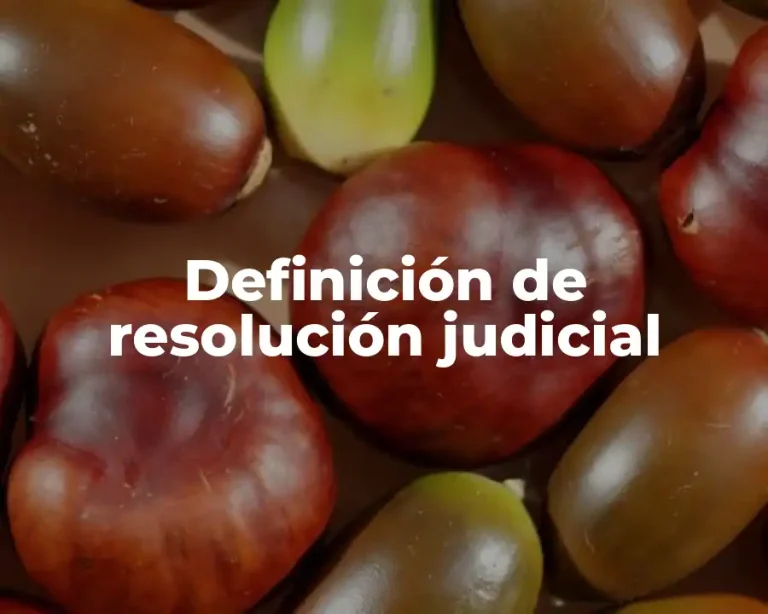 Definición de resolución judicial