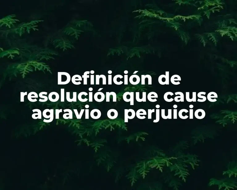 Definición de resolución que cause agravio o perjuicio