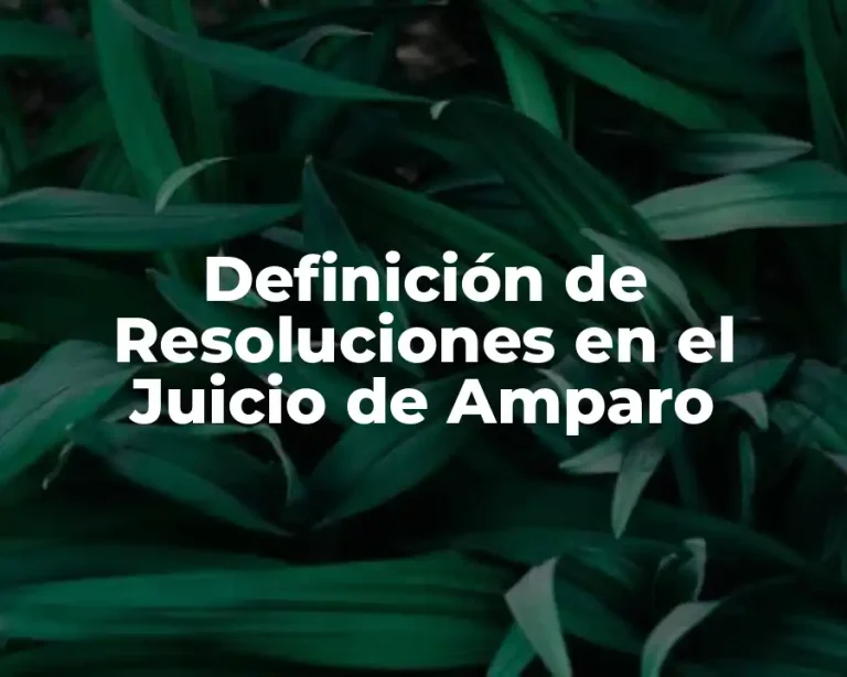 Definición de Resoluciones en el Juicio de Amparo