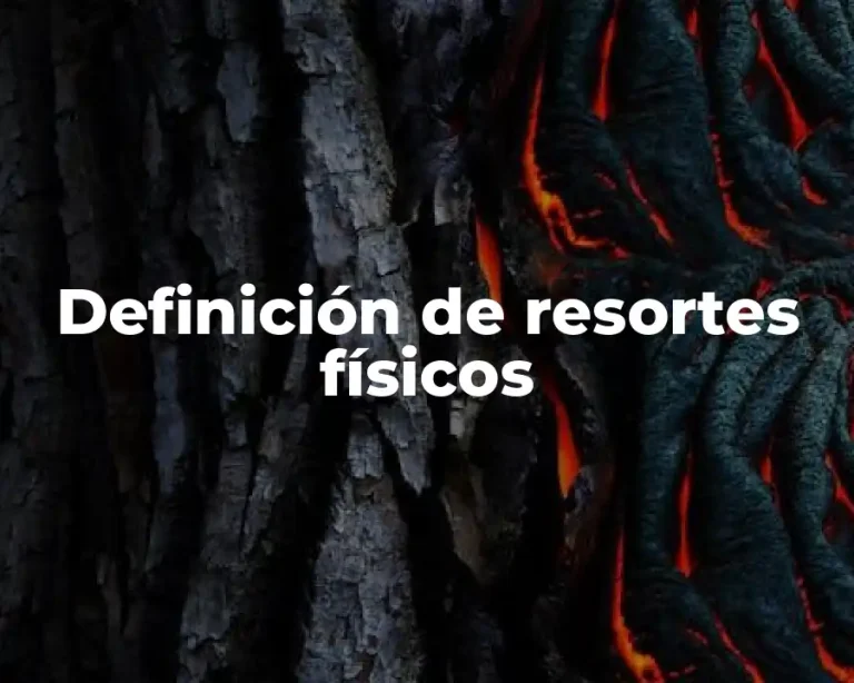 Definición de resortes físicos