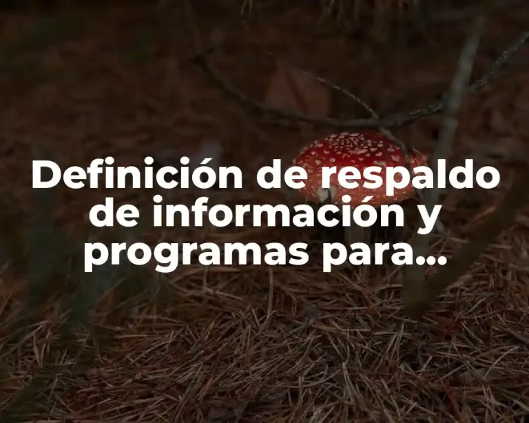 Definición de respaldo de información y programas para asegurarlo