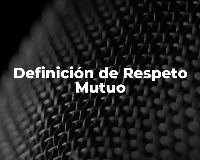 Definición de Respeto Mutuo