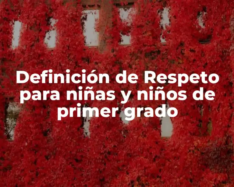 Definición de Respeto para niñas y niños de primer grado