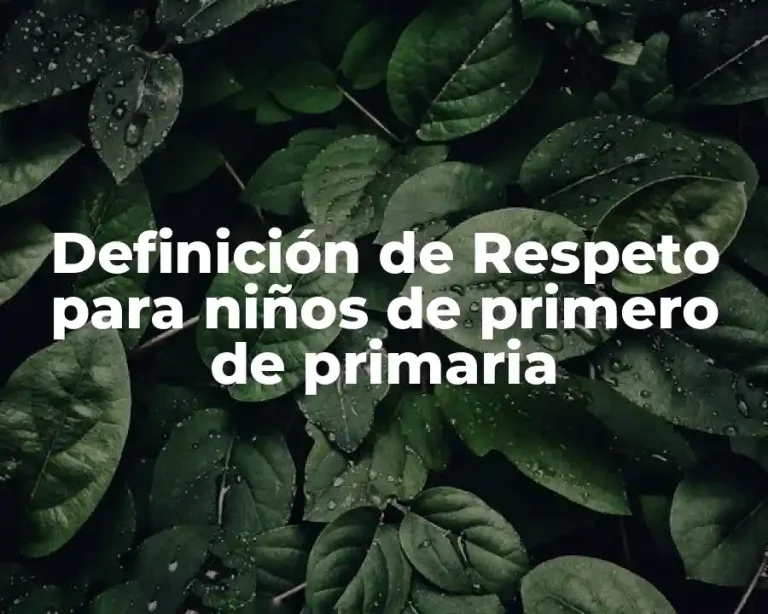 Definición de Respeto para niños de primero de primaria