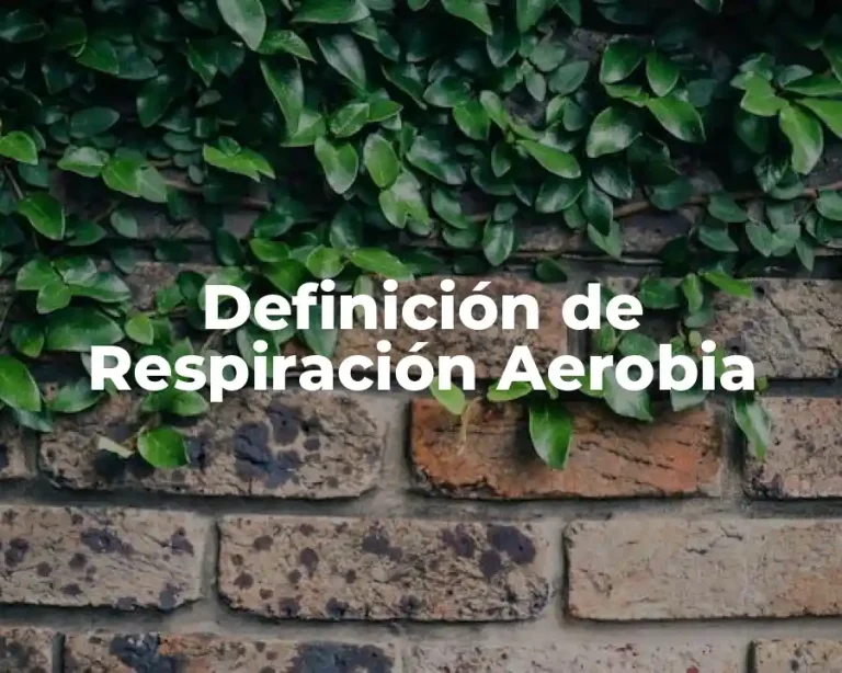 Definición de Respiración Aerobia