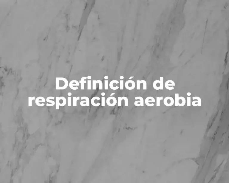 Definición de respiración aerobia