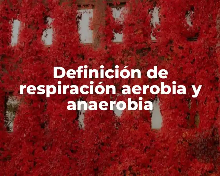 Definición de respiración aerobia y anaerobia