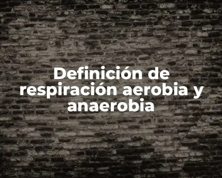Definición de respiración aerobia y anaerobia